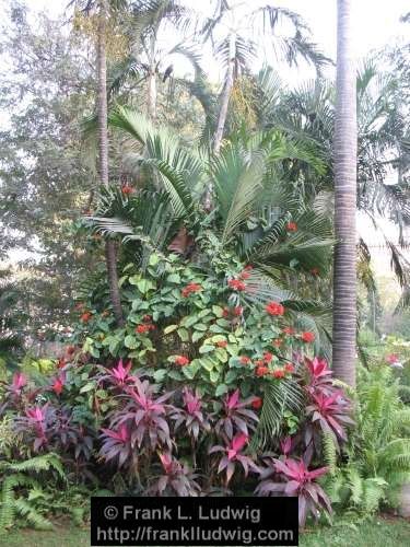 Horniman Circle Gardens, Bombay, Mumbai, India